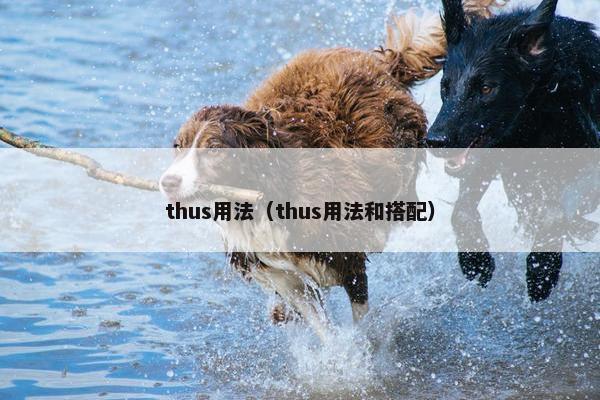 thus用法（thus用法和搭配）