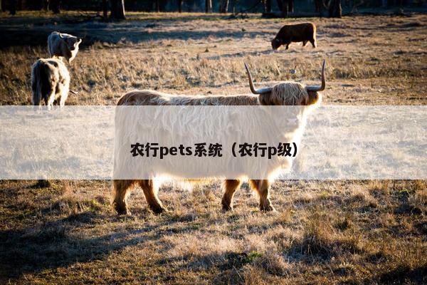 农行pets系统（农行p级）