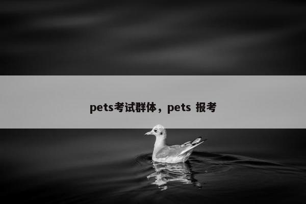 pets考试群体，pets 报考
