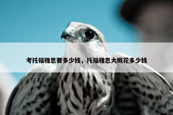 考托福雅思要多少钱，托福雅思大概花多少钱