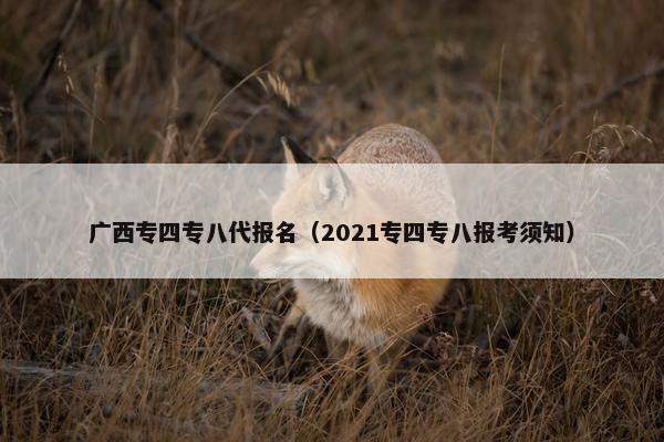 广西专四专八代报名（2021专四专八报考须知）