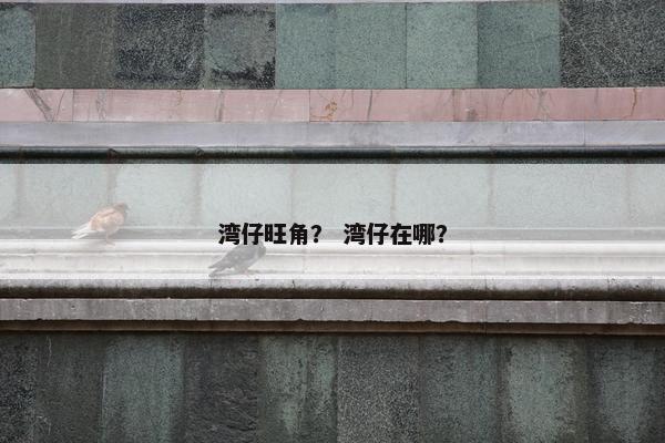 湾仔旺角？ 湾仔在哪？