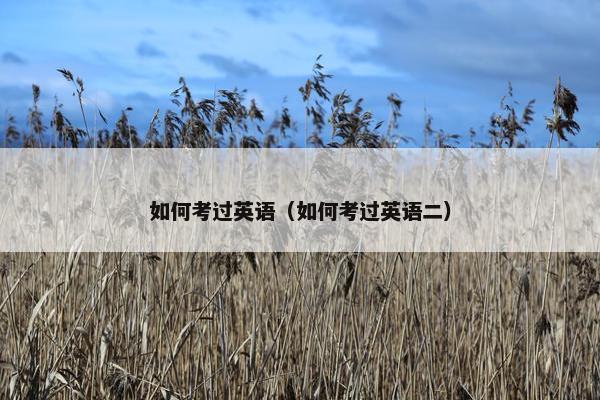 如何考过英语（如何考过英语二）
