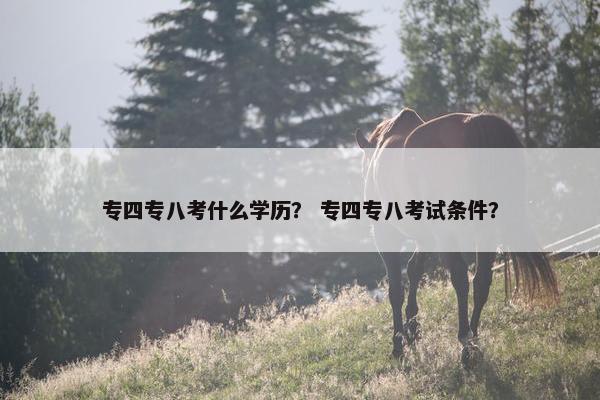 专四专八考什么学历？ 专四专八考试条件？