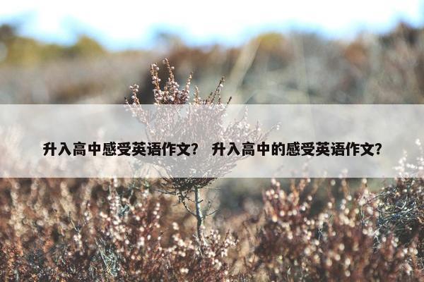 升入高中感受英语作文？ 升入高中的感受英语作文？