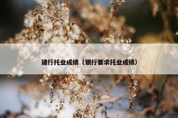 建行托业成绩（银行要求托业成绩）