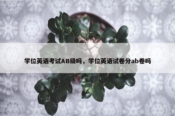 学位英语考试AB级吗，学位英语试卷分ab卷吗