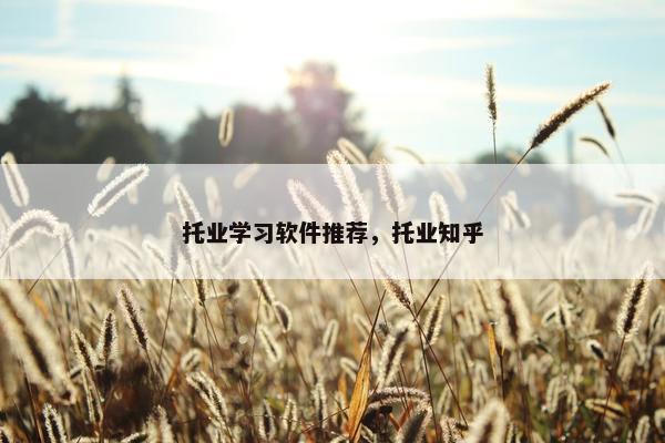 托业学习软件推荐，托业知乎
