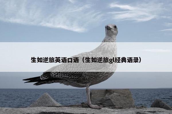 生如逆旅英语口语（生如逆旅gl经典语录）