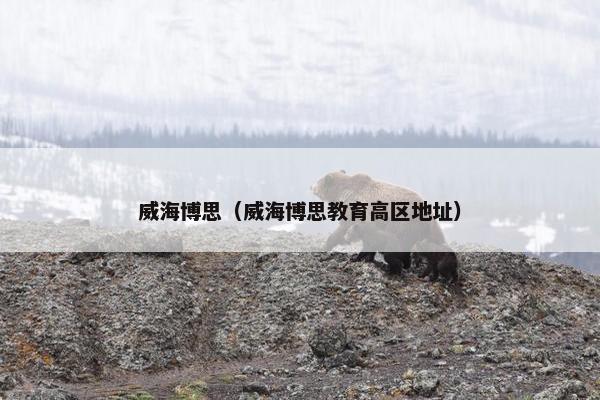 威海博思（威海博思教育高区地址）