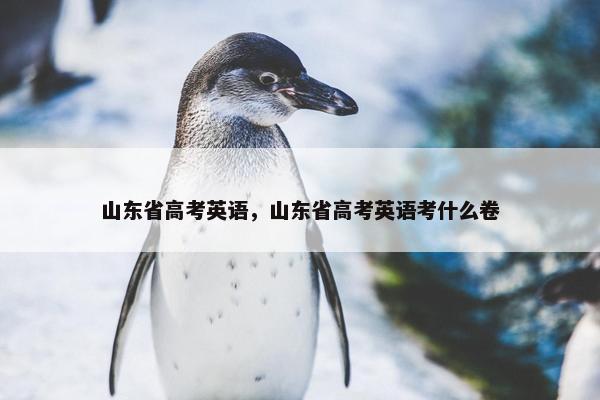 山东省高考英语，山东省高考英语考什么卷