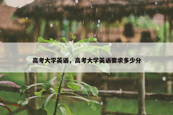 高考大学英语，高考大学英语要求多少分