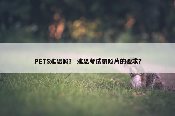 PETS雅思照？ 雅思考试带照片的要求？