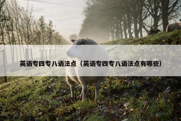 英语专四专八语法点（英语专四专八语法点有哪些）