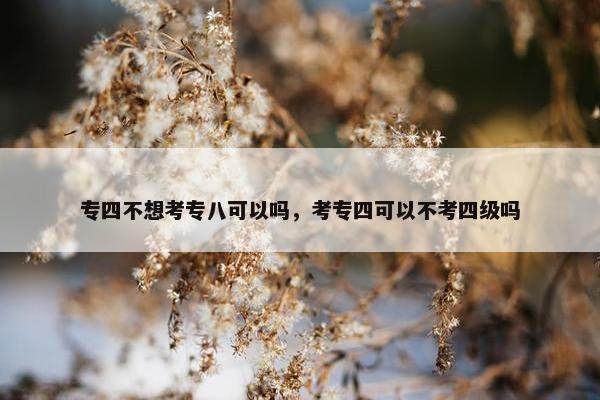 专四不想考专八可以吗，考专四可以不考四级吗