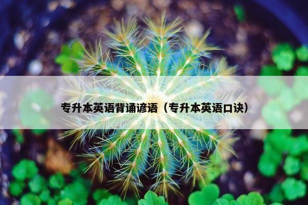 专升本英语背诵谚语（专升本英语口诀）