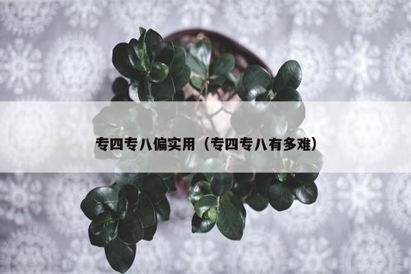 专四专八偏实用（专四专八有多难）