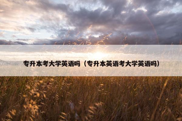 专升本考大学英语吗（专升本英语考大学英语吗）