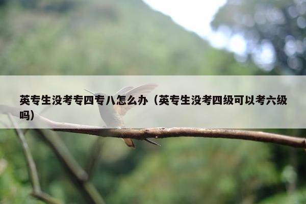 英专生没考专四专八怎么办（英专生没考四级可以考六级吗）