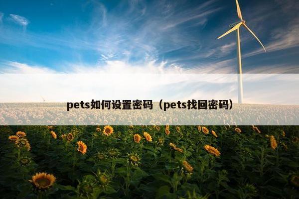 pets如何设置密码（pets找回密码）
