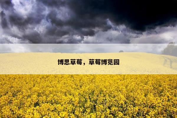 博思草莓，草莓博览园