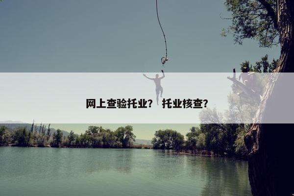 网上查验托业？ 托业核查？