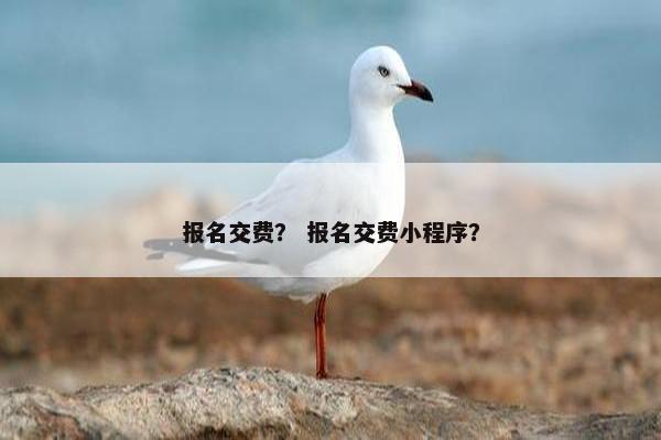 报名交费？ 报名交费小程序？