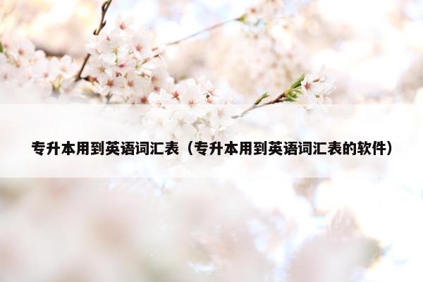 专升本用到英语词汇表（专升本用到英语词汇表的软件）