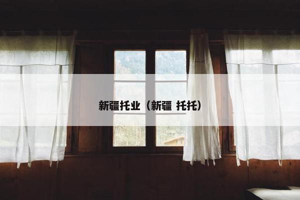 新疆托业（新疆 托托）