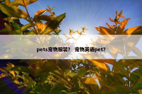 pets宠物服装？ 宠物英语pet？