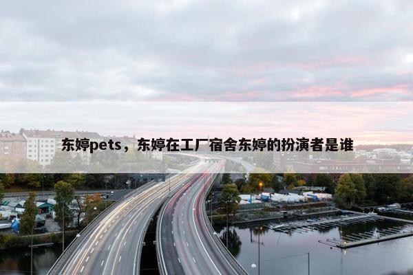 东婷pets，东婷在工厂宿舍东婷的扮演者是谁