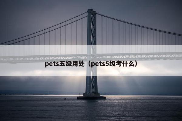 pets五级用处（pets5级考什么）