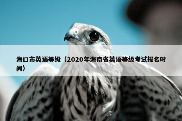 海口市英语等级（2020年海南省英语等级考试报名时间）