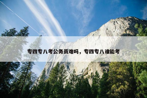 专四专八考公务员难吗，专四专八谁能考