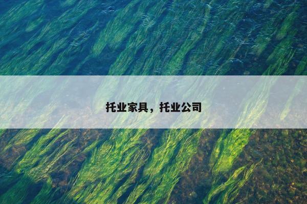 托业家具，托业公司