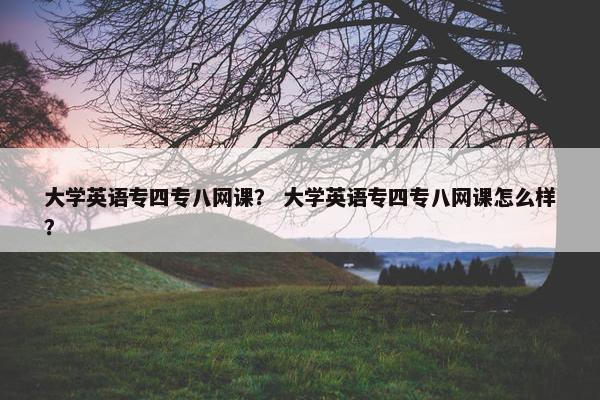 大学英语专四专八网课？ 大学英语专四专八网课怎么样？