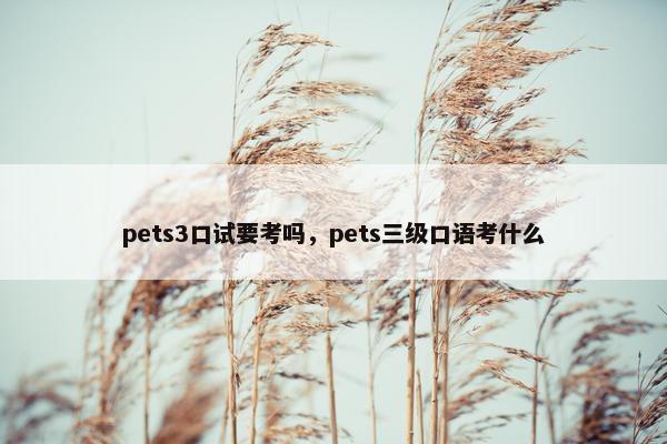 pets3口试要考吗，pets三级口语考什么