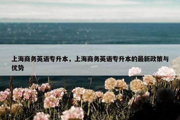 上海商务英语专升本，上海商务英语专升本的最新政策与优势