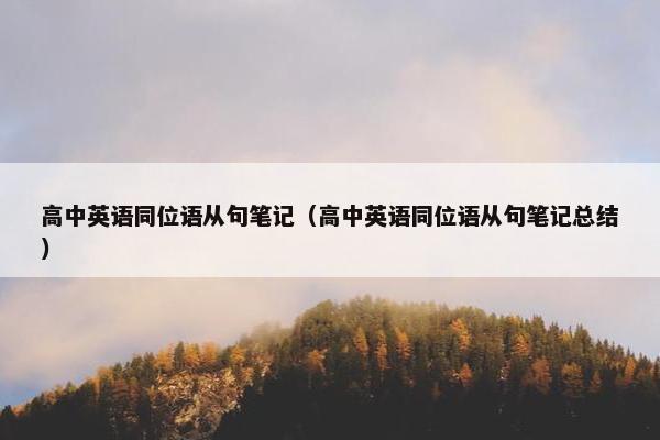高中英语同位语从句笔记（高中英语同位语从句笔记总结）