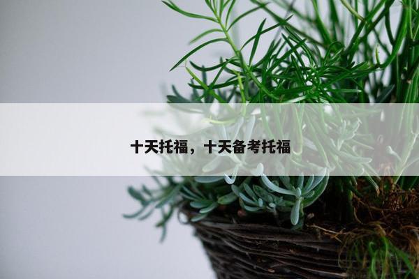 十天托福，十天备考托福