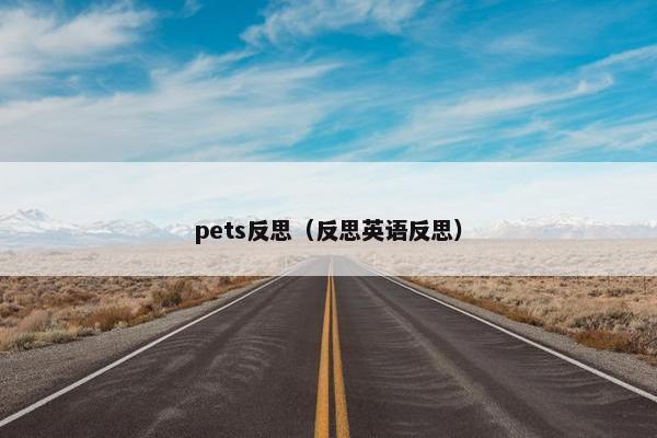 pets反思（反思英语反思）