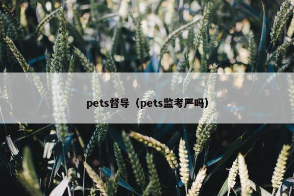 pets督导（pets监考严吗）