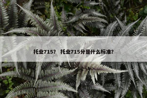 托业715？ 托业715分是什么标准？