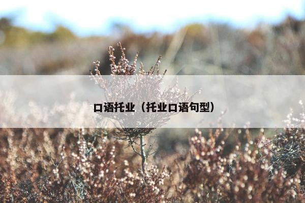 口语托业（托业口语句型）