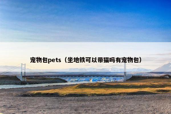 宠物包pets（坐地铁可以带猫吗有宠物包）