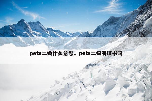 pets二级什么意思，pets二级有证书吗