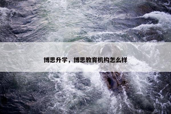 博思升学，博思教育机构怎么样