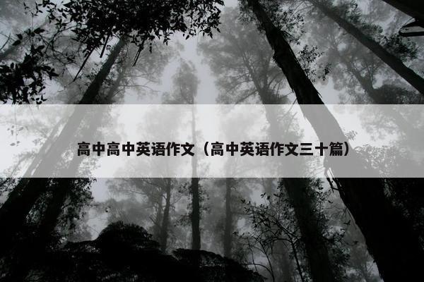 高中高中英语作文（高中英语作文三十篇）