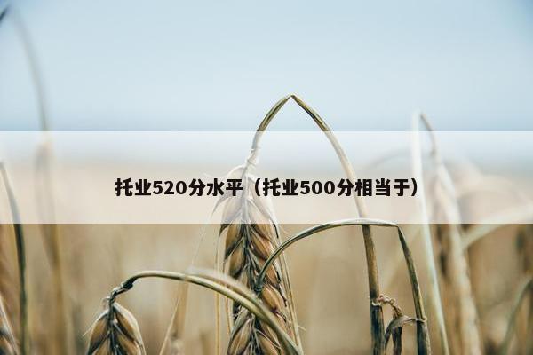 托业520分水平（托业500分相当于）