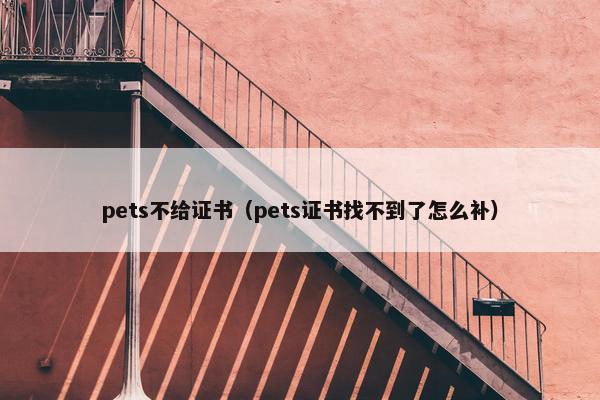 pets不给证书（pets证书找不到了怎么补）